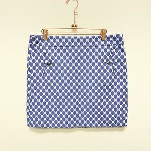 Blue Patterned Women's Skirt Lot